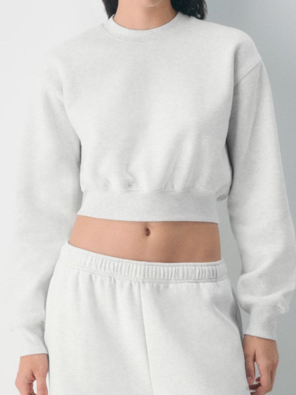 Aritzia Cozy Sweatfleece Perfect Crew Crop Sweatshirt - Small